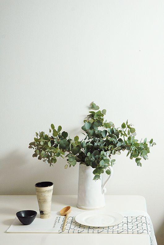 Ramas de eucalipto: Ideas para dar ese toque natural y acogedor en tu hogar.