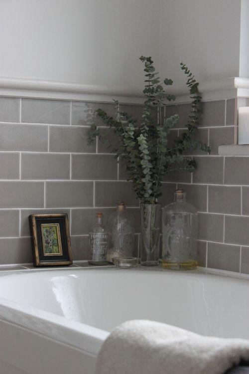 Ramas de eucalipto: Ideas para dar ese toque natural y acogedor en tu hogar.