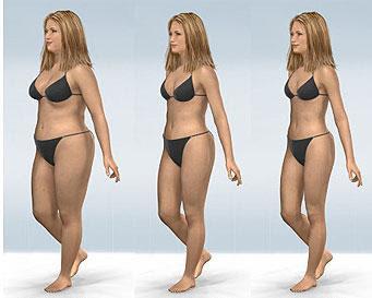 cual-es-la-mejor-dieta-para-adelgazar-wordpress