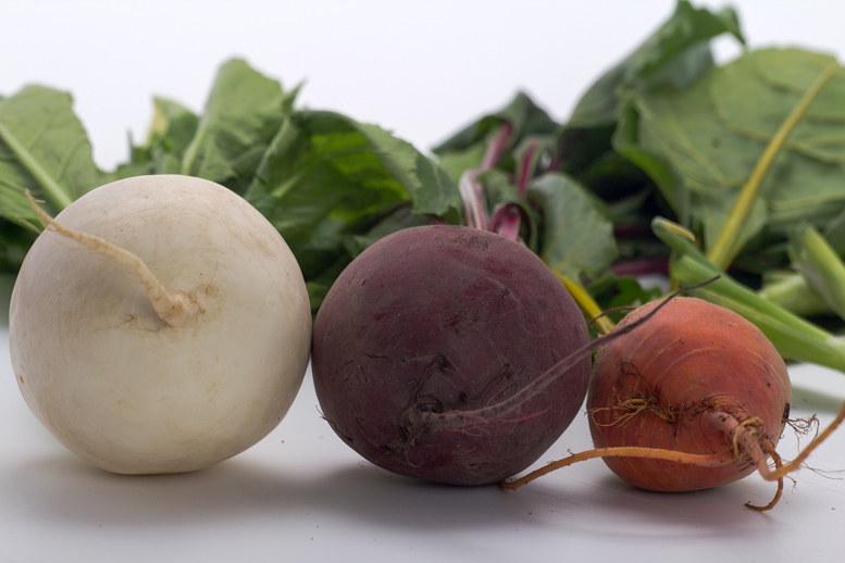 Alimentos ricos en fibra soluble para mejorar la flora intestinal