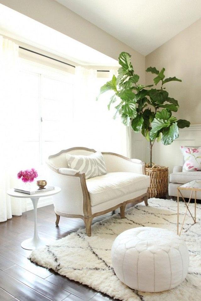 White_16
