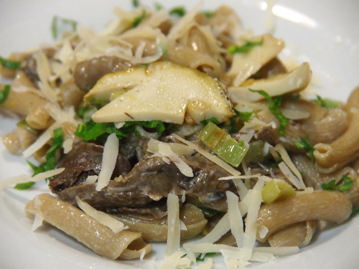Torcetti funghi porcini