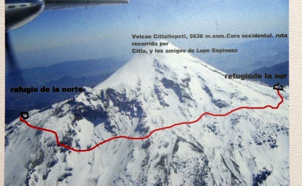 Citla_Perro_Pico de Orizaba_México 2