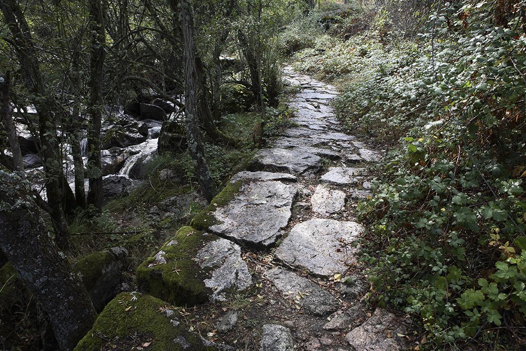 Río Valsaín. Losas de granito. Sendero de los Reales Sitios-Las Pesquerías Reales. La Granja-Valsaín. Segovia. España © Javier Prieto Gallego;