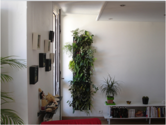 wallnatura