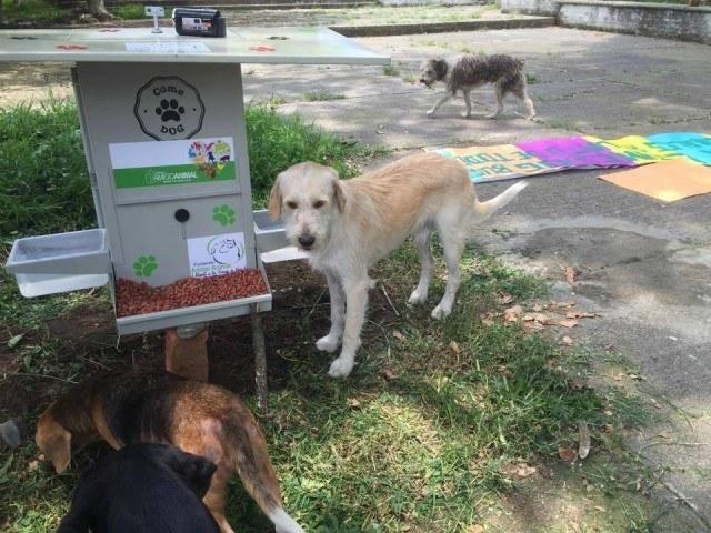 Foto-Comedog-México-Ciudad del Carmen-Primer Comedog 1