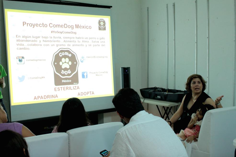 Foto_5 Mitos del Comedog_México_Colombia 1