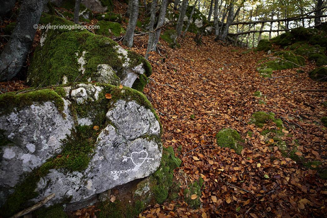 Grabado de un corazón en una roca del Hayedo de Valporquero. otoño. Vega del Torío. León. España. © Javier Prieto Gallego