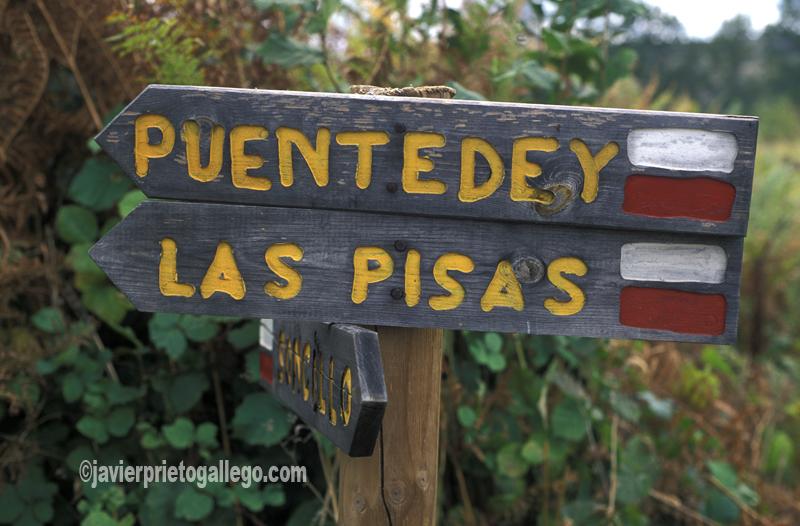 Hayedo de Las Pisas. Burgos. Castilla y León. España. © Javier Prieto Gallego