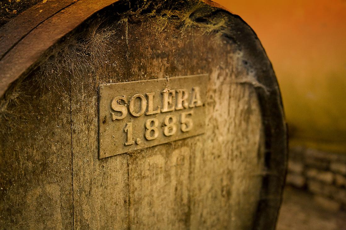 En Bodegas Andrade puedes celebrar tu evento en uno de sus salones especializados para bodas o congresos en Huelva.