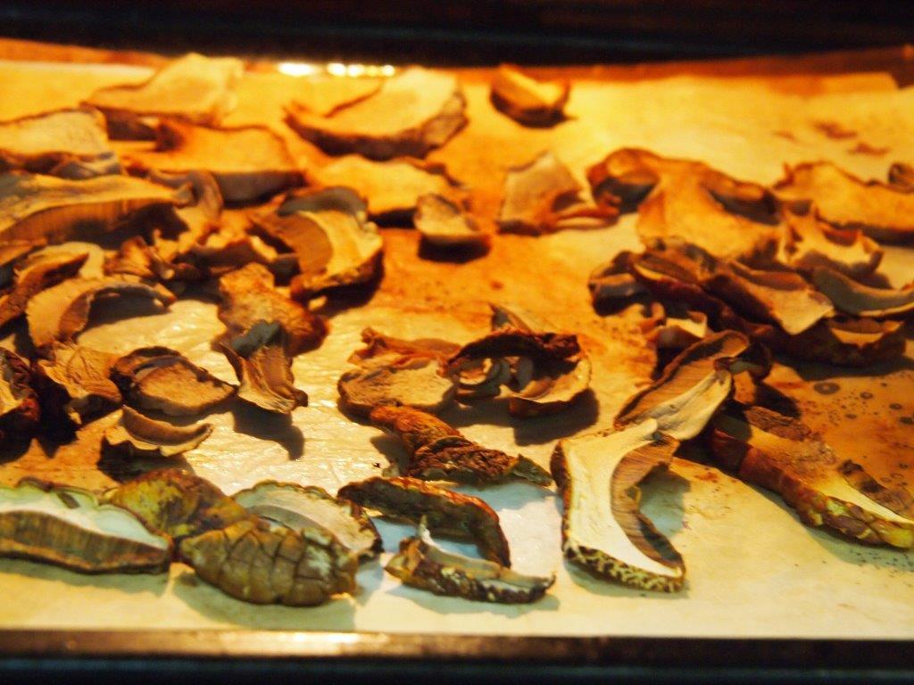 Boletus, como deshidratarlos horno