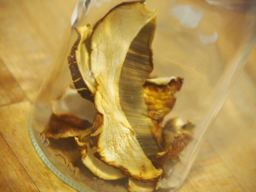 Boletus, como deshdratarlos frasco
