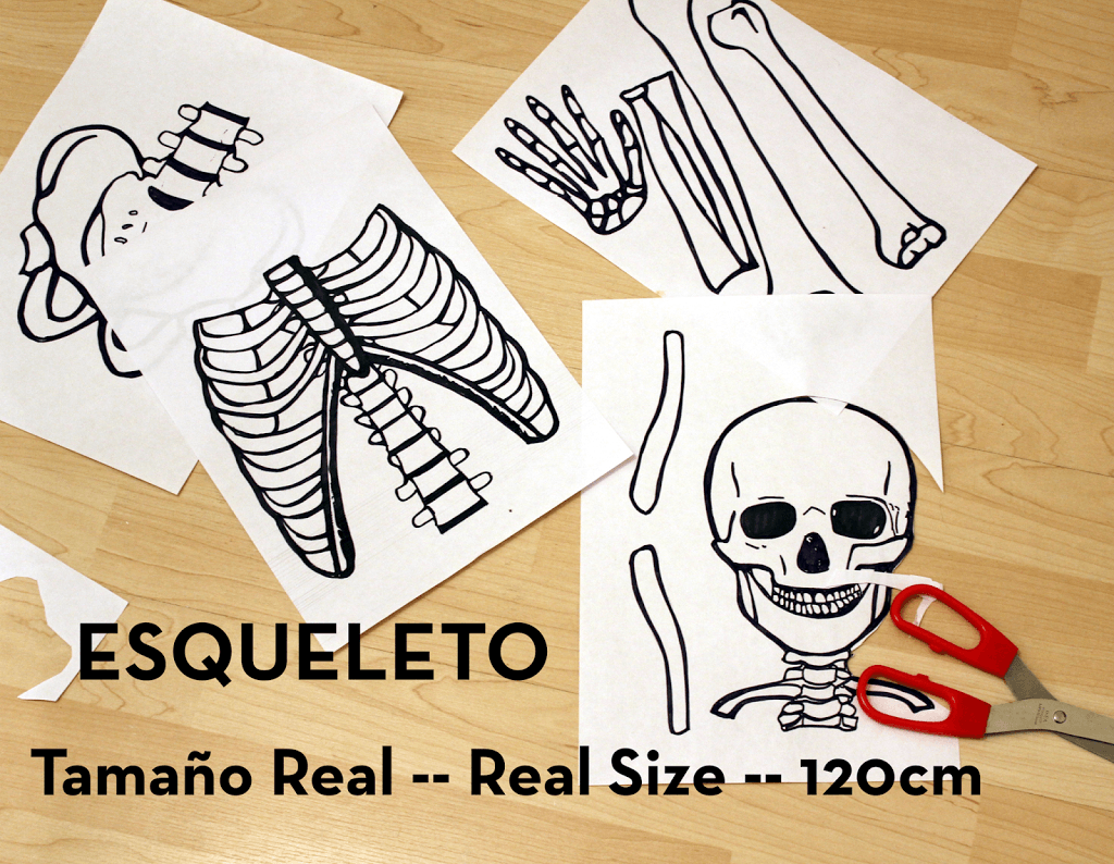 esquelet2