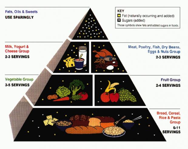 1393276759-USDA_Food_Pyramid 1992 copia