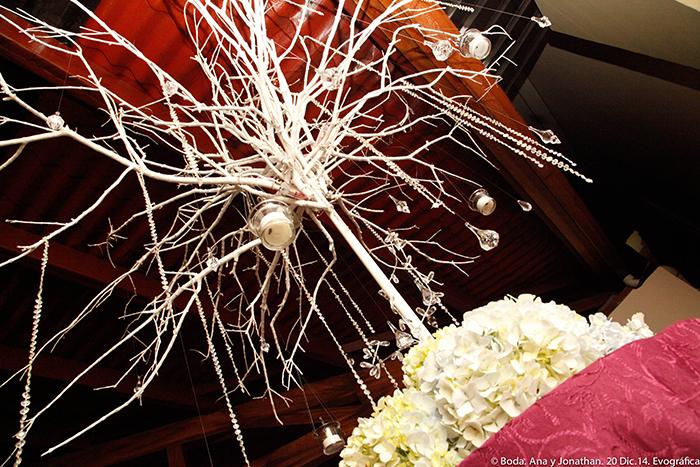 Evografica www.proyectobodacr.com