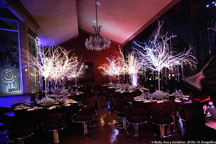 Evografica www.proyectobodacr.com