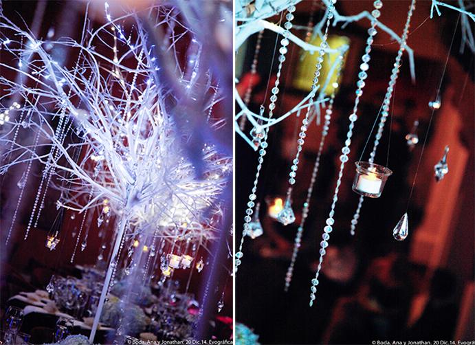 Evografica www.proyectobodacr.com