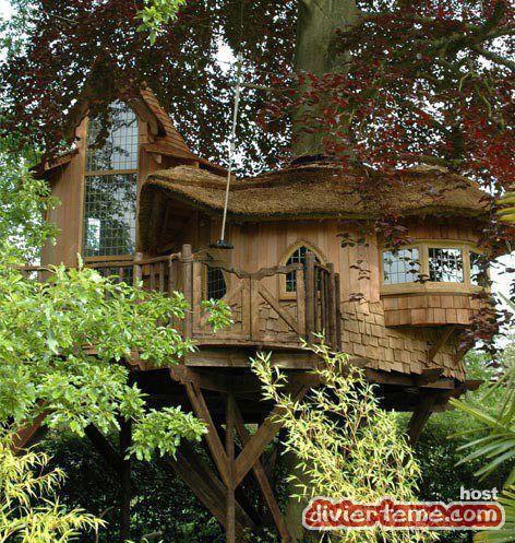 Casas en el árbol el sueño de todo niño se puede hacer realidad