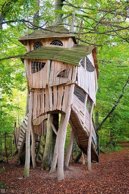 Casas en el árbol el sueño de todo niño se puede hacer realidad