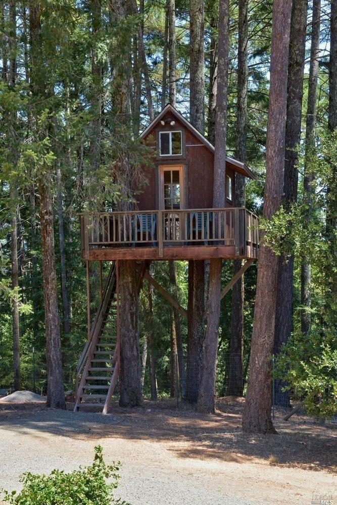 Casas en el árbol el sueño de todo niño se puede hacer realidad