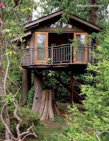 Casas en el árbol el sueño de todo niño se puede hacer realidad