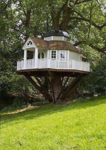 Casas en el árbol el sueño de todo niño se puede hacer realidad