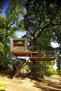 Casas en el árbol el sueño de todo niño se puede hacer realidad