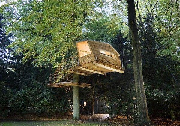 Casas en el árbol el sueño de todo niño se puede hacer realidad