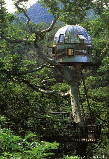 Casas en el árbol el sueño de todo niño se puede hacer realidad