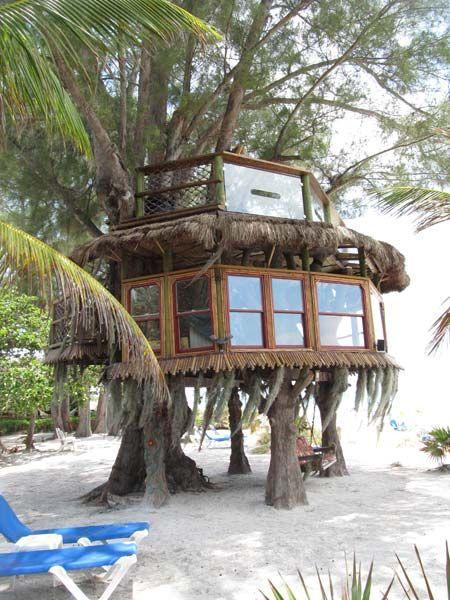 Casas en el árbol el sueño de todo niño se puede hacer realidad