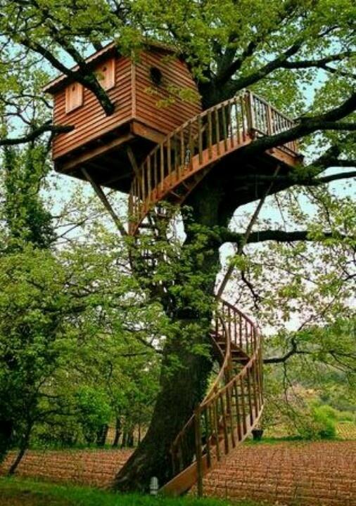 Casas en el árbol el sueño de todo niño se puede hacer realidad