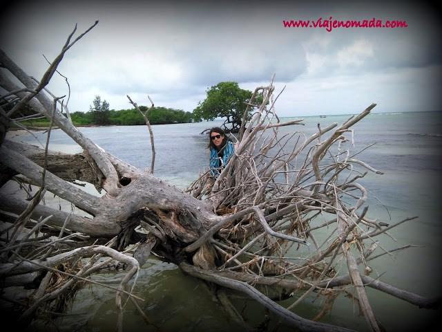 Viaje a Cuba visitando Viñales, Varadero, La Habana, Santa Clara, Trinidad, Playa Larga.