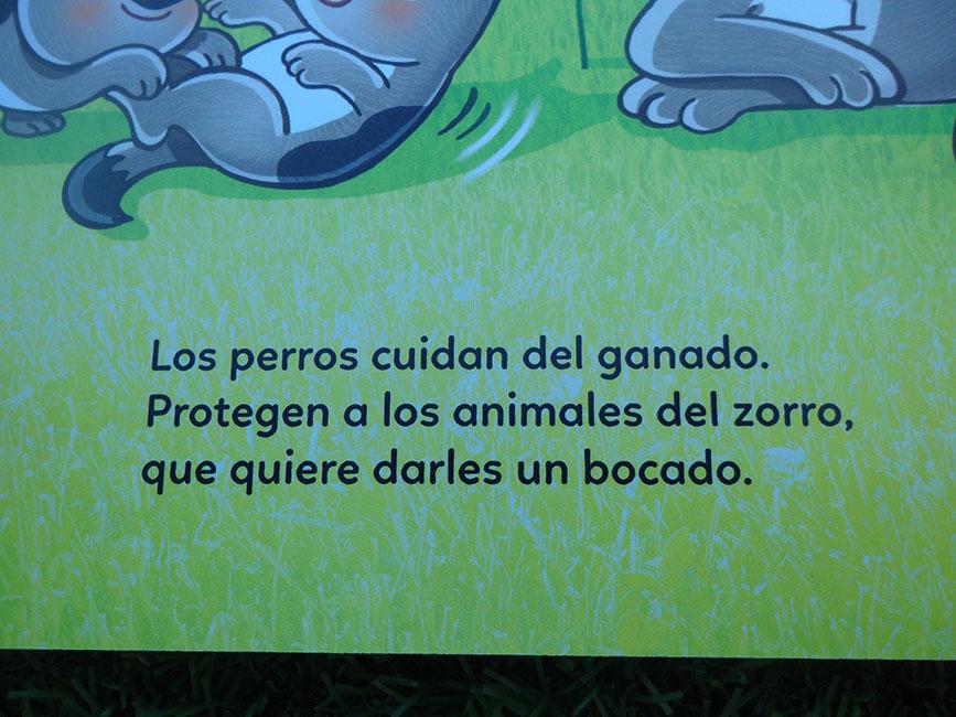 Texto