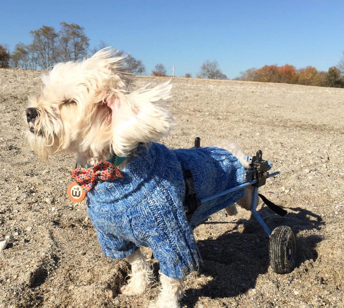 Albert disfrutando el aire