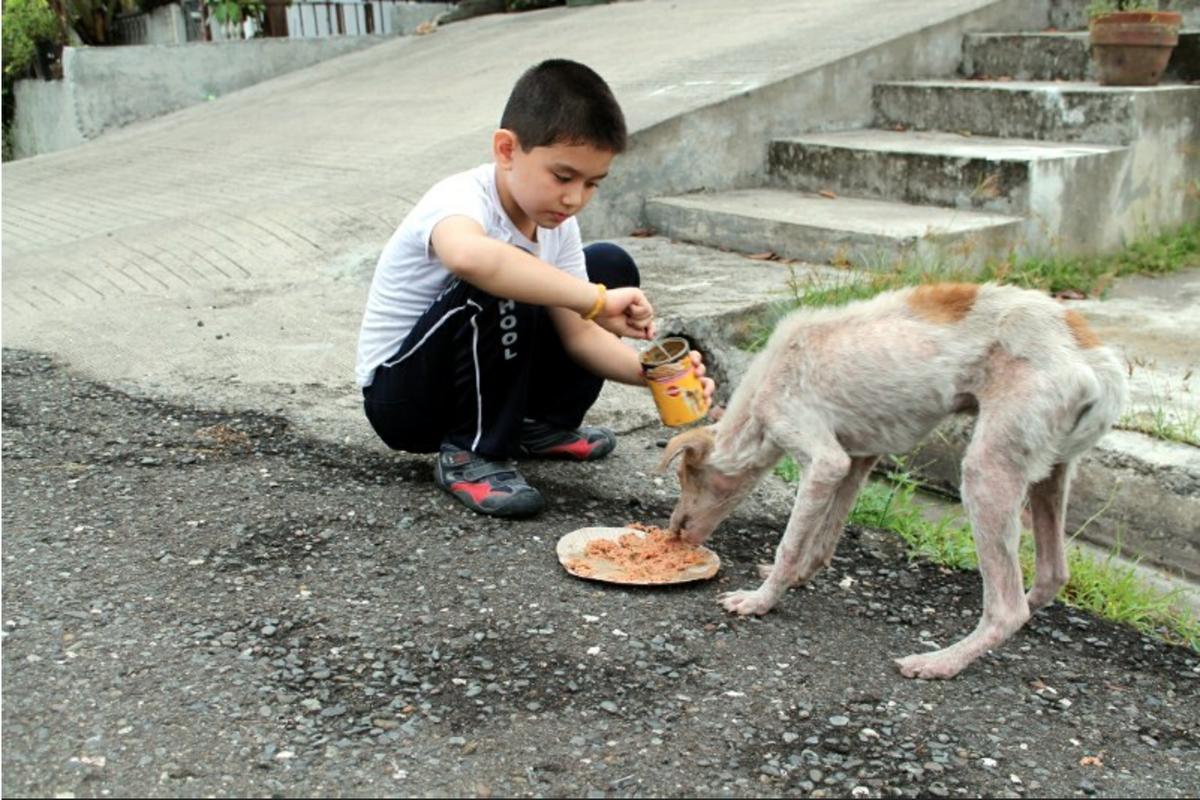 Ken alimentando perro
