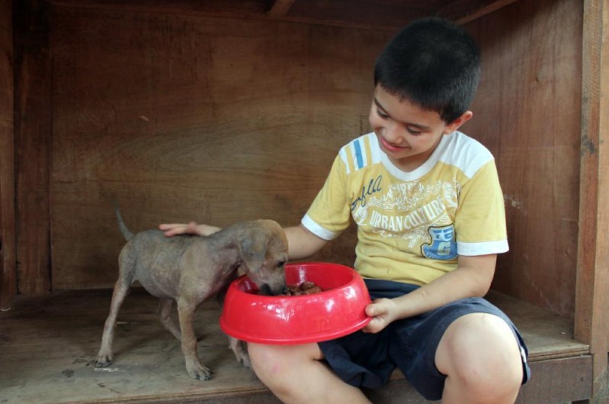 ken cuidando cachorro
