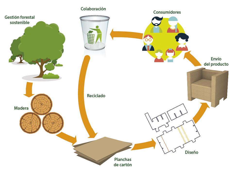 Vida del cartón