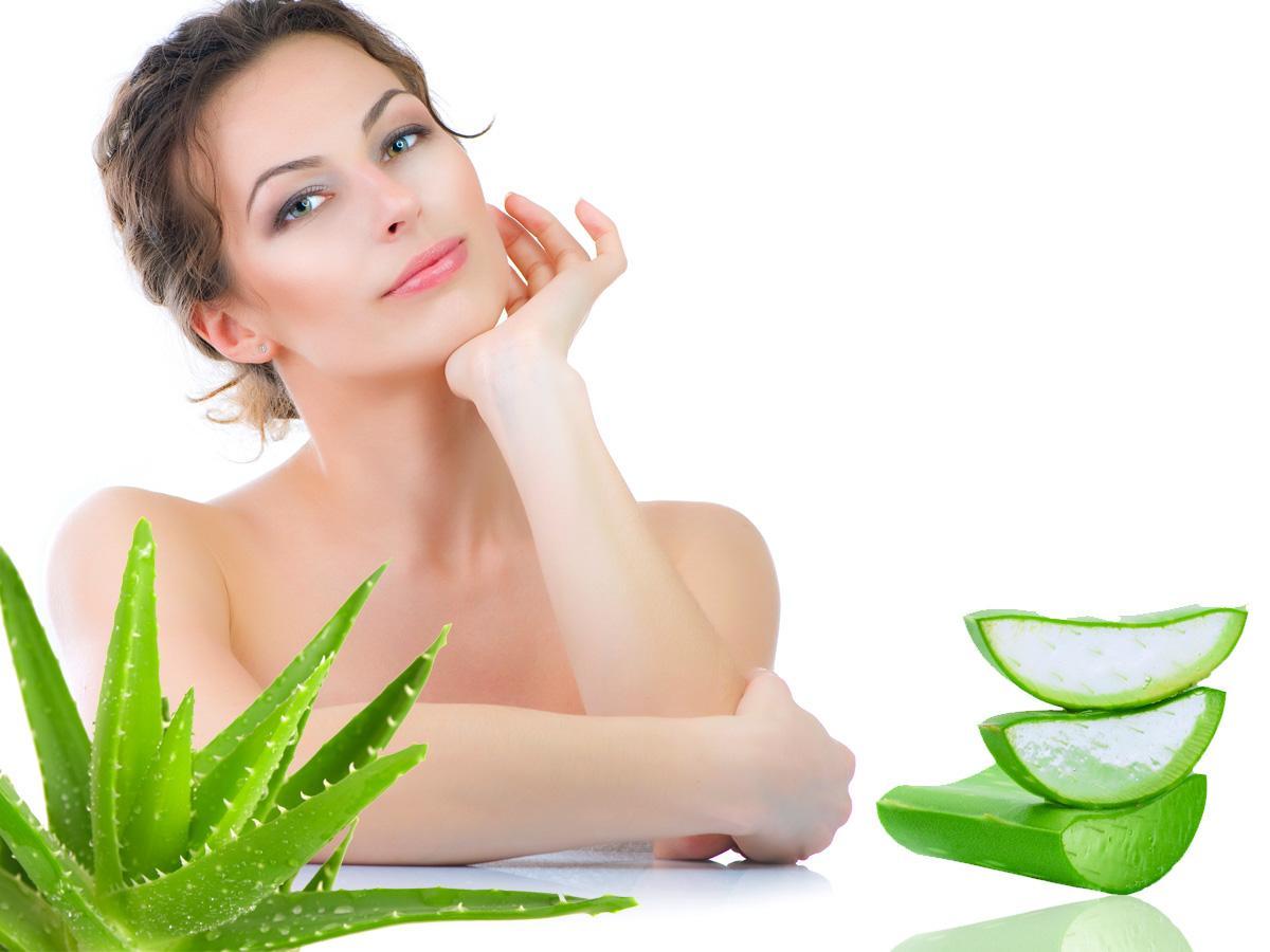 el aloe de vera