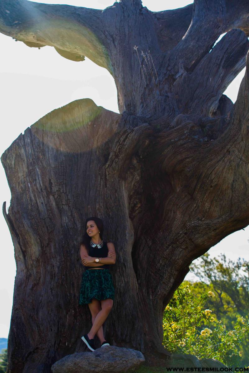 foto falda sneakers-1085