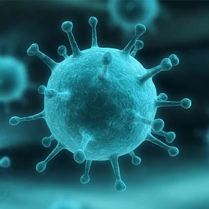 El Influenzavirus es el que causa la gripe