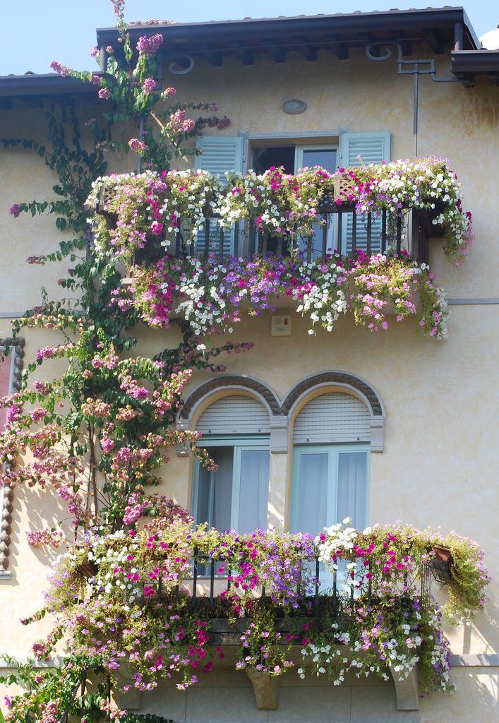 Decorar balcon con flores y plantas