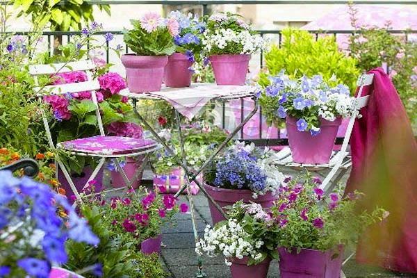 Decorar balcon con flores y plantas