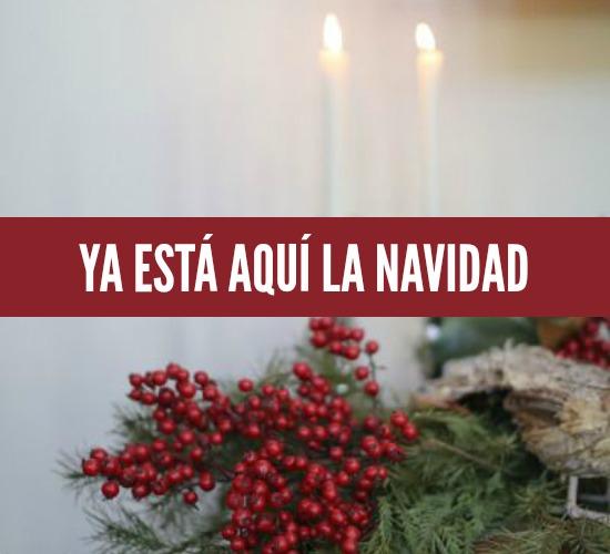 Navidad, Christmas, Winter, Invierno, pino, thuya, pistacia, hipericum, guirnalda, arbol de navidad, luces, corona 