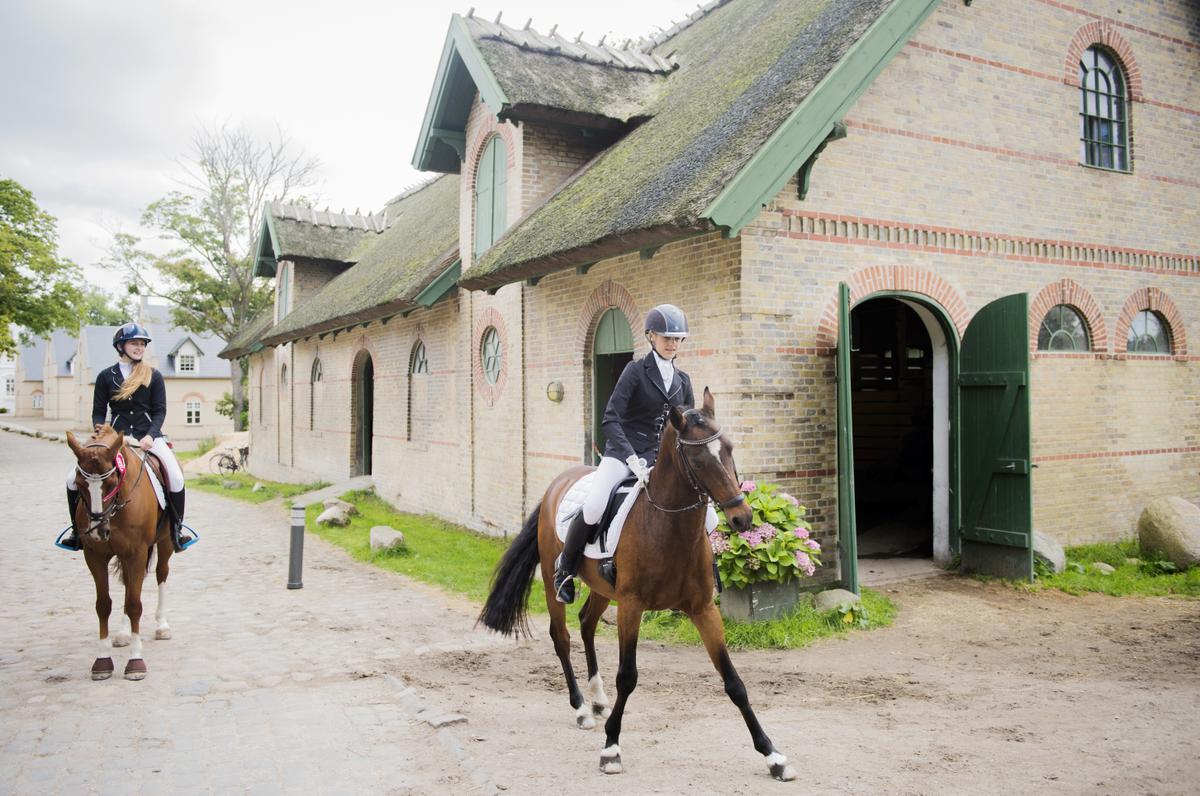 Kokkedal Slot, Dinamarca, Castillo, hotel,