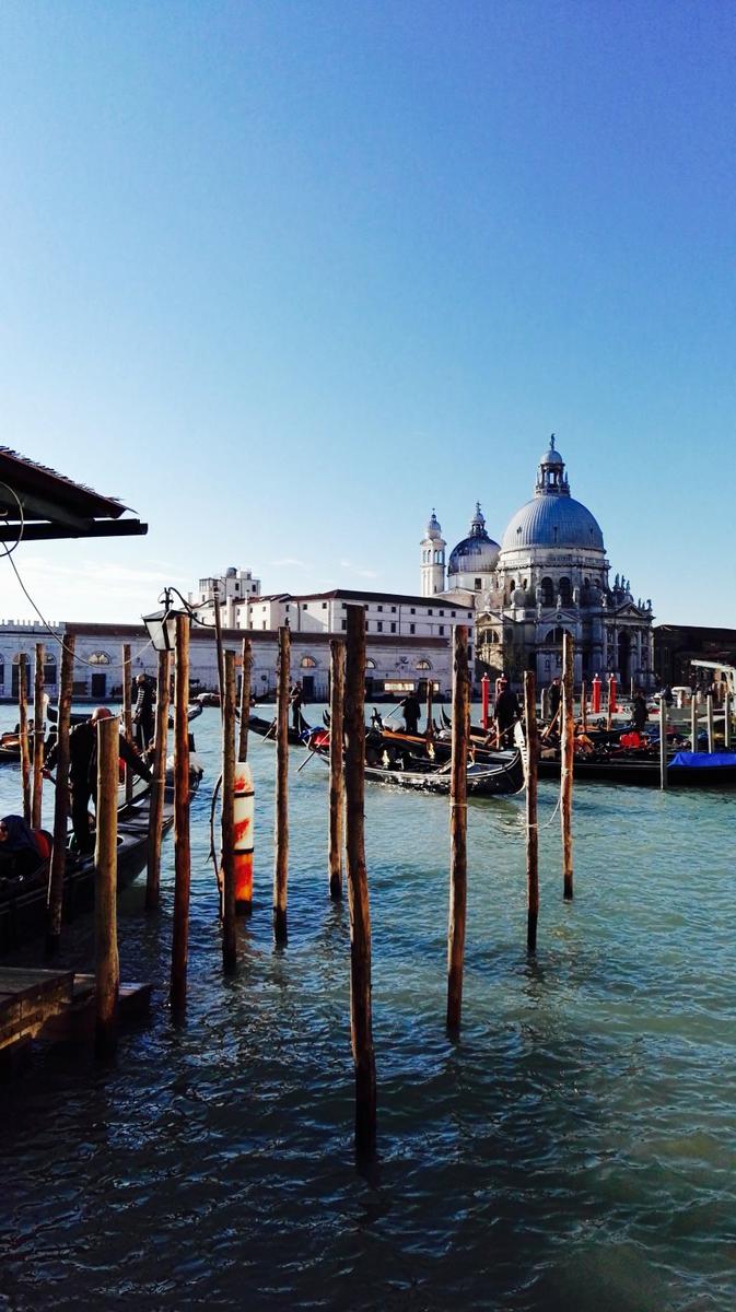 venice paula casielles