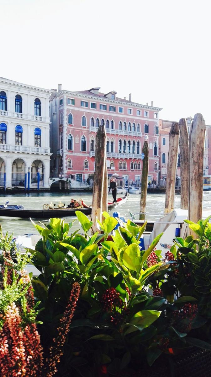 venice paula casielles