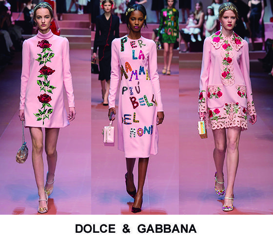 LA VIDA DE COLOR ROSA .DOLCE &GABBANA