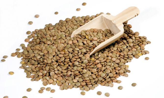 lentejas-para-embarazadas1