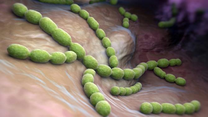 como prevenir la meningitis