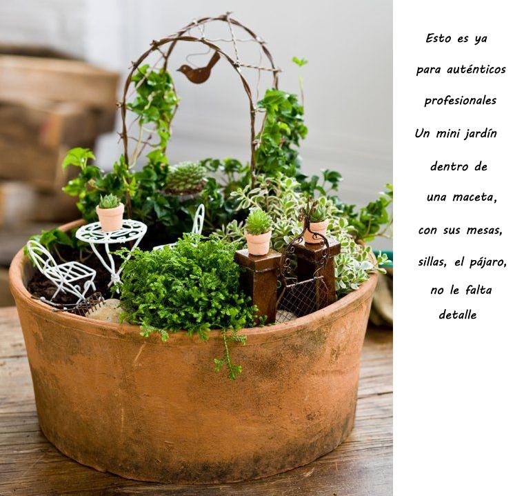 Terrarium_11